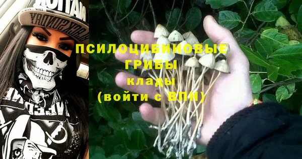 спиды Дмитров
